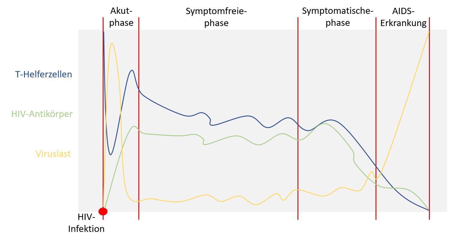 Grafische Darstellung des Verlaufs einer unbehandelten HIV-Infektion.