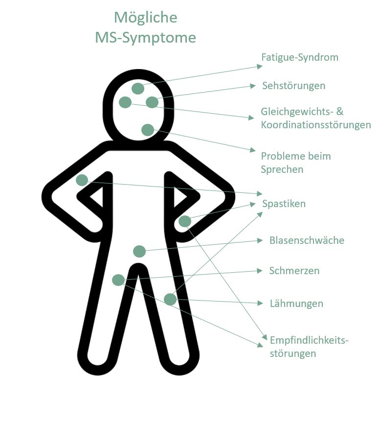 Darstellung möglicher Symptome bei MS.